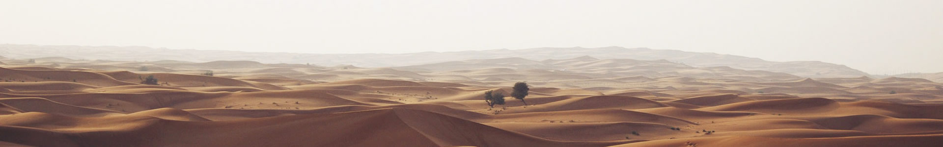 Ϸʿ;ó޹˾